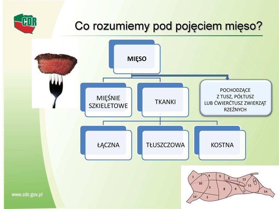 POCHODZĄCE Z TUSZ, PÓŁTUSZ LUB