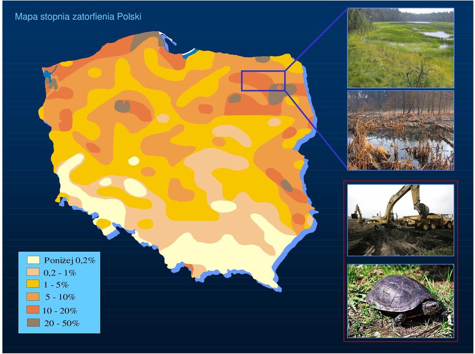 PoniŜej 0,2%