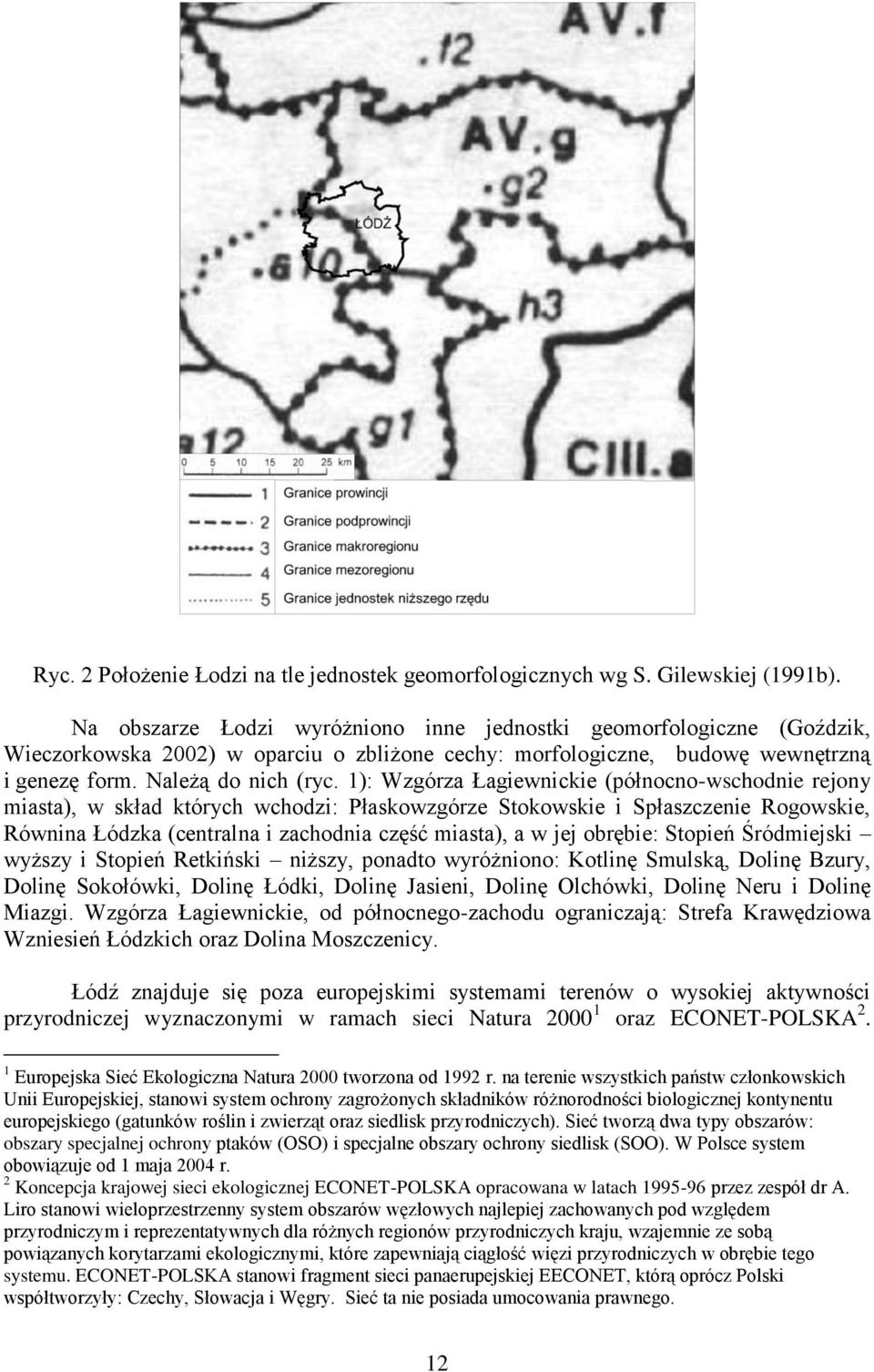 1): Wzgórza Łagiewnickie (północno-wschodnie rejony miasta), w skład których wchodzi: Płaskowzgórze Stokowskie i Spłaszczenie Rogowskie, Równina Łódzka (centralna i zachodnia część miasta), a w jej