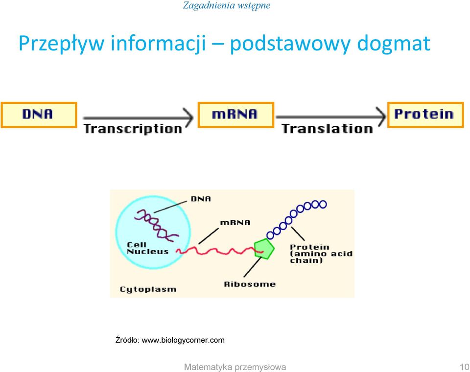 podstawowy dogmat