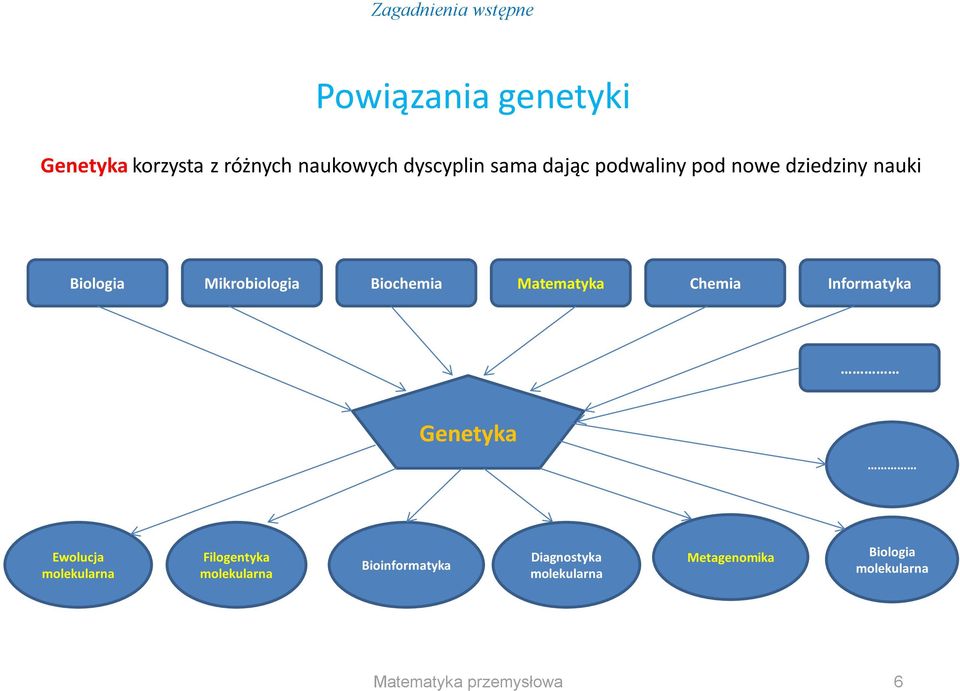 Biochemia Matematyka Chemia Informatyka Genetyka Ewolucja molekularna Filogentyka