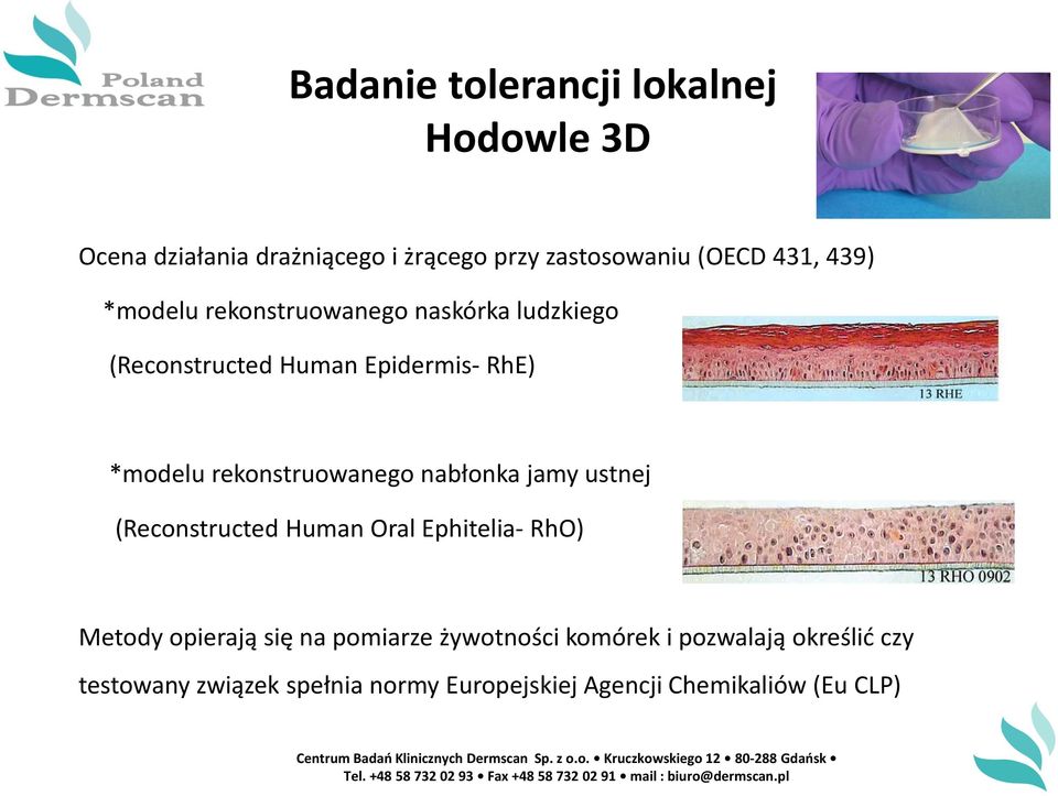 rekonstruowanego nabłonka jamy ustnej (Reconstructed Human Oral Ephitelia- RhO) Metody opierają się na