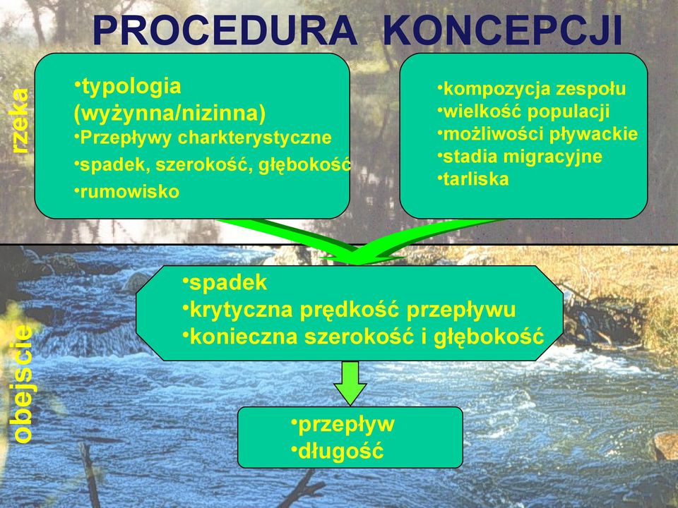 wielkość populacji możliwości pływackie stadia migracyjne tarliska spadek