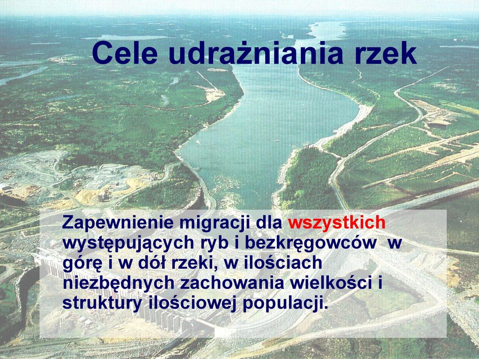 górę i w dół rzeki, w ilościach niezbędnych