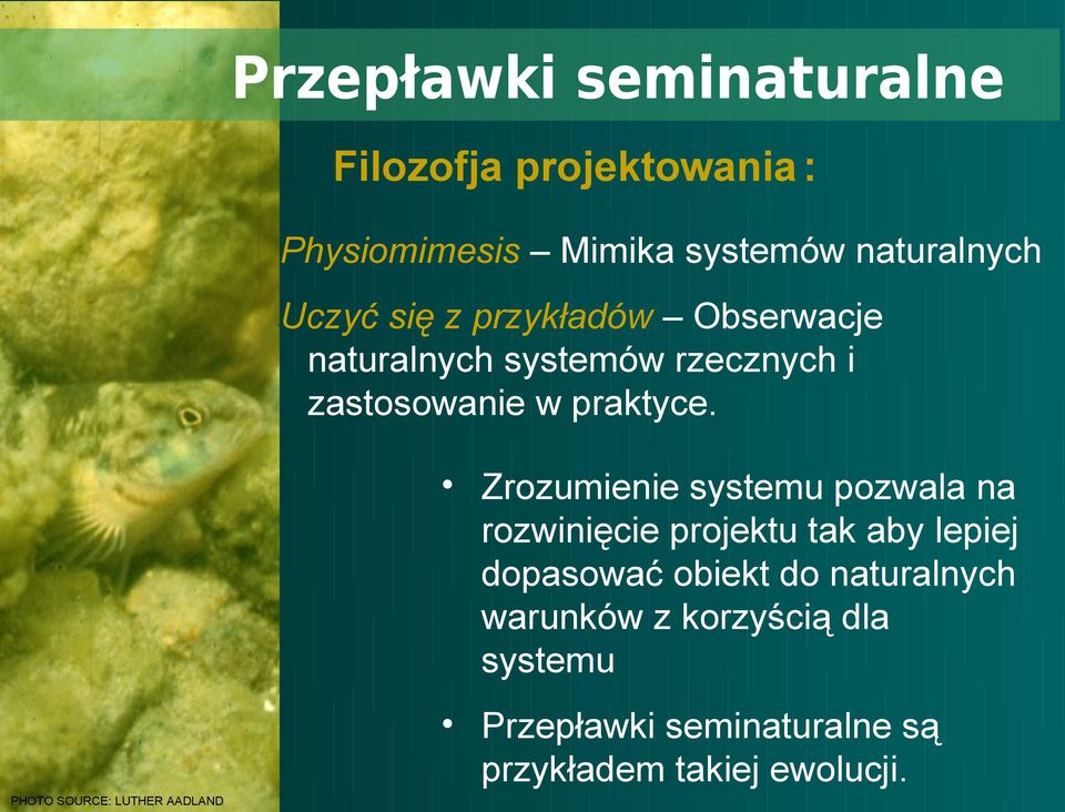 Zrozumienie systemu pozwala na rozwinięcie projektu tak aby lepiej dopasować obiekt do naturalnych