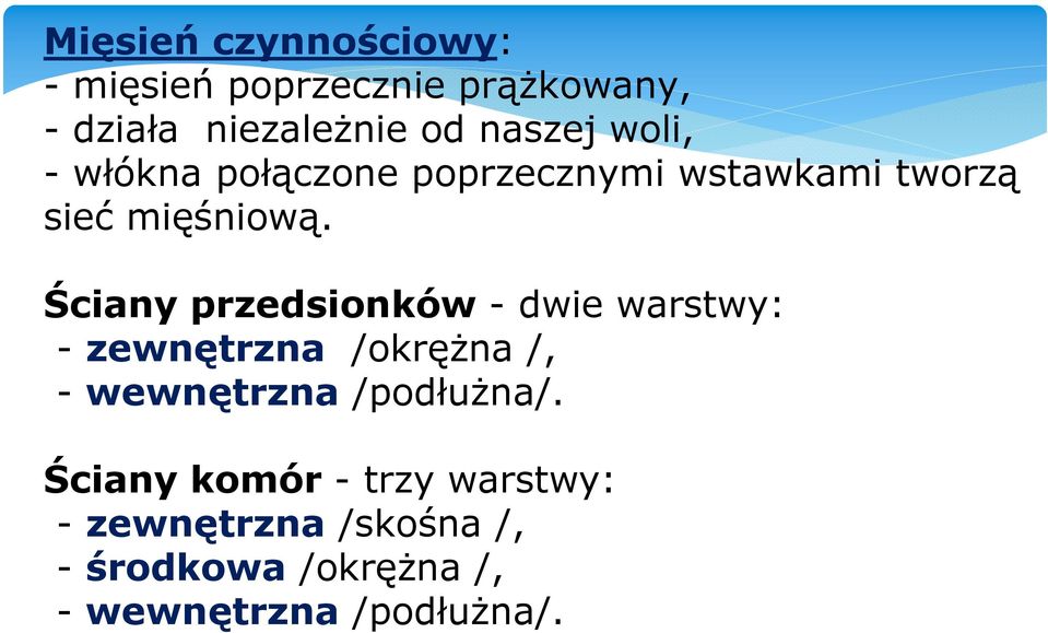 Ściany przedsionków - dwie warstwy: - zewnętrzna /okrężna /, -wewnętrzna /podłużna/.