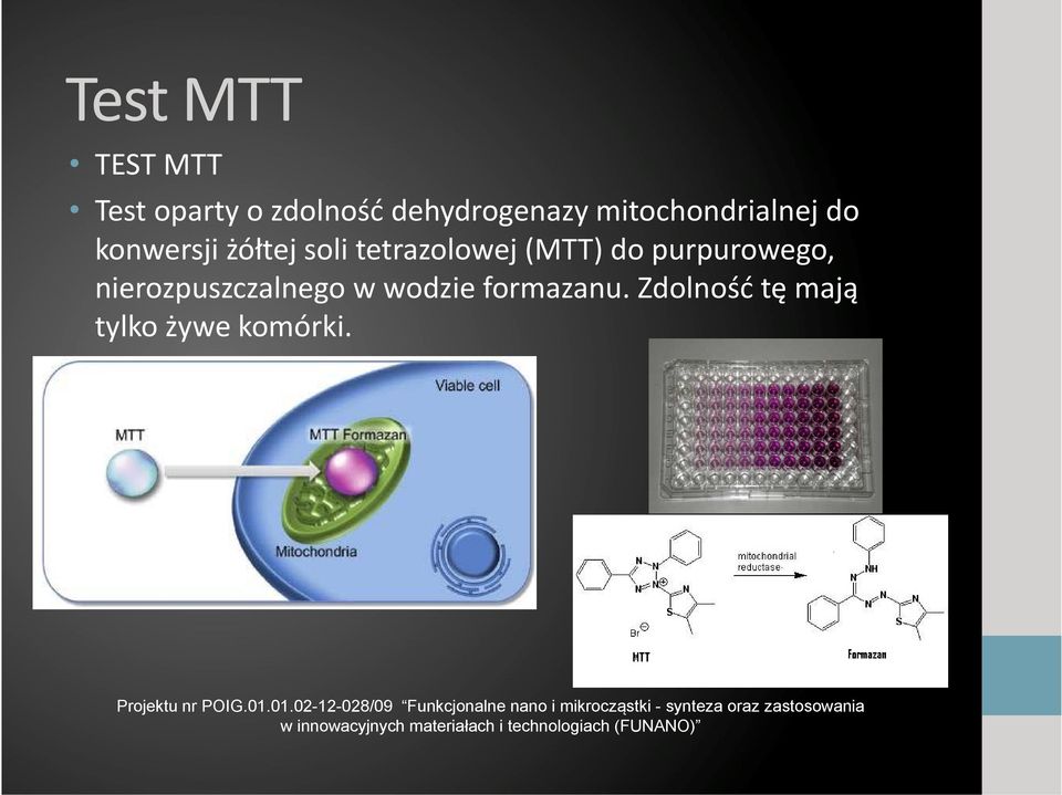 soli tetrazolowej (MTT) do purpurowego,
