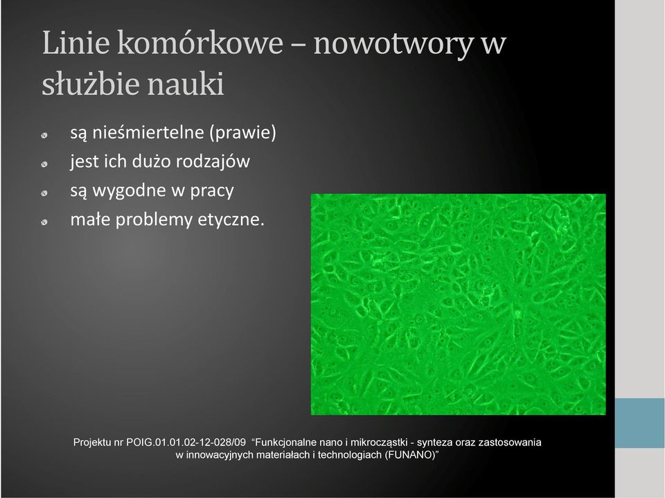 (prawie) jest ich dużo rodzajów