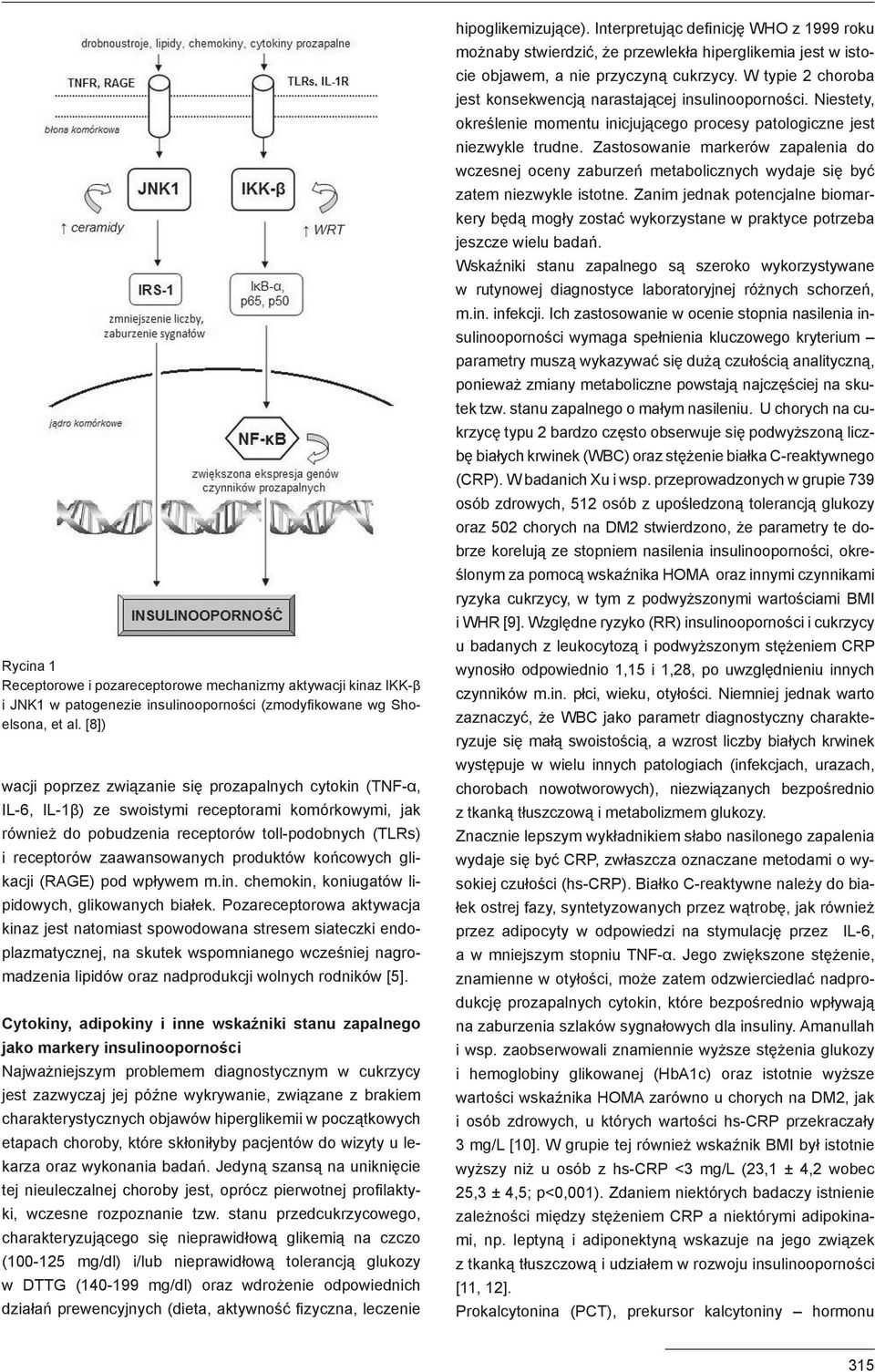 produktów końcowych glikacji (RAGE) pod wpływem m.in. chemokin, koniugatów lipidowych, glikowanych białek.