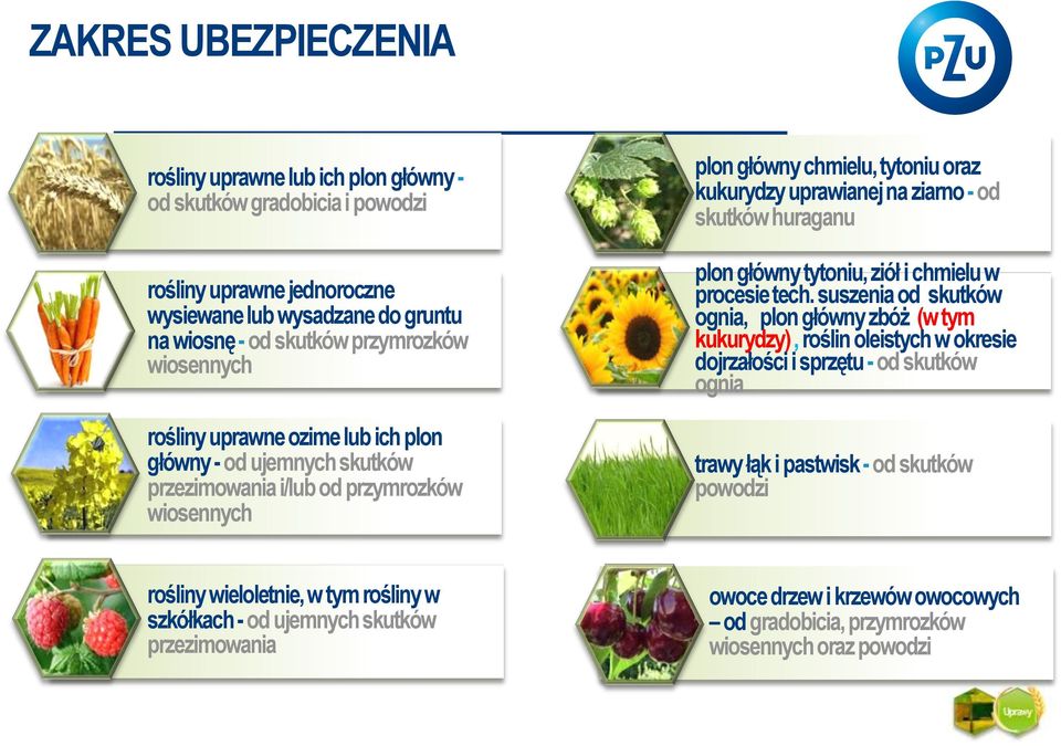 suszenia od skutków ognia, plon główny zbóż (w tym kukurydzy), roślin oleistych w okresie dojrzałości i sprzętu - od skutków ognia.