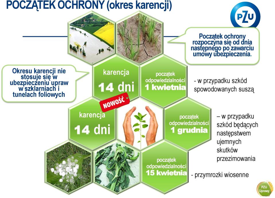 odpowiedzialności 1 kwietnia - w przypadku szkód spowodowanych suszą karencja 14 dni początek odpowiedzialności 15