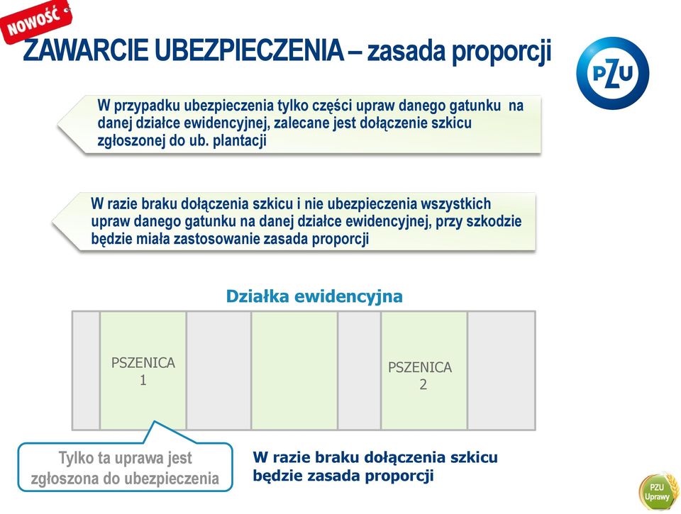 plantacji W razie braku dołączenia szkicu i nie ubezpieczenia wszystkich upraw danego gatunku na danej działce ewidencyjnej,