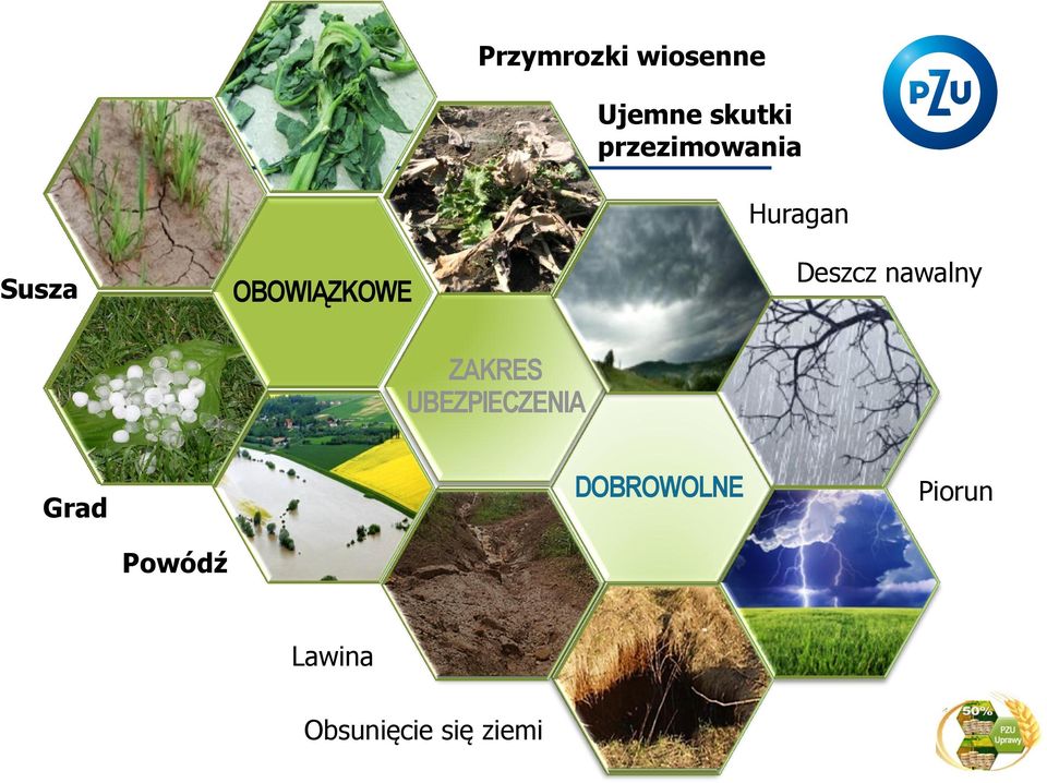 nawalny GRAD ZAKRES UBEZPIECZENIA DESZCZ NAWALNY Grad POWÓDŹ DOBROWOLNE