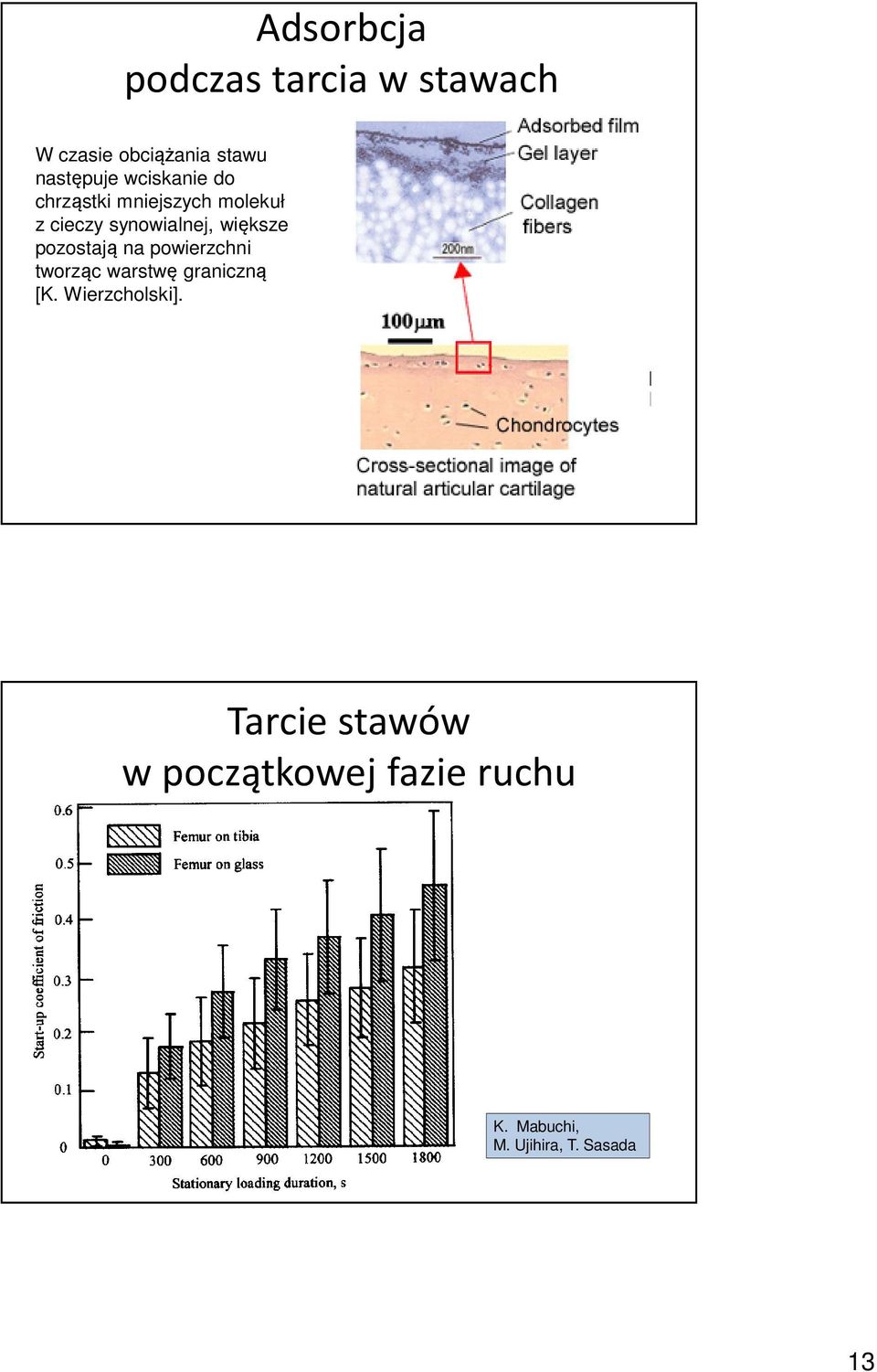 pozostają na powierzchni tworząc warstwę graniczną [K. Wierzcholski].