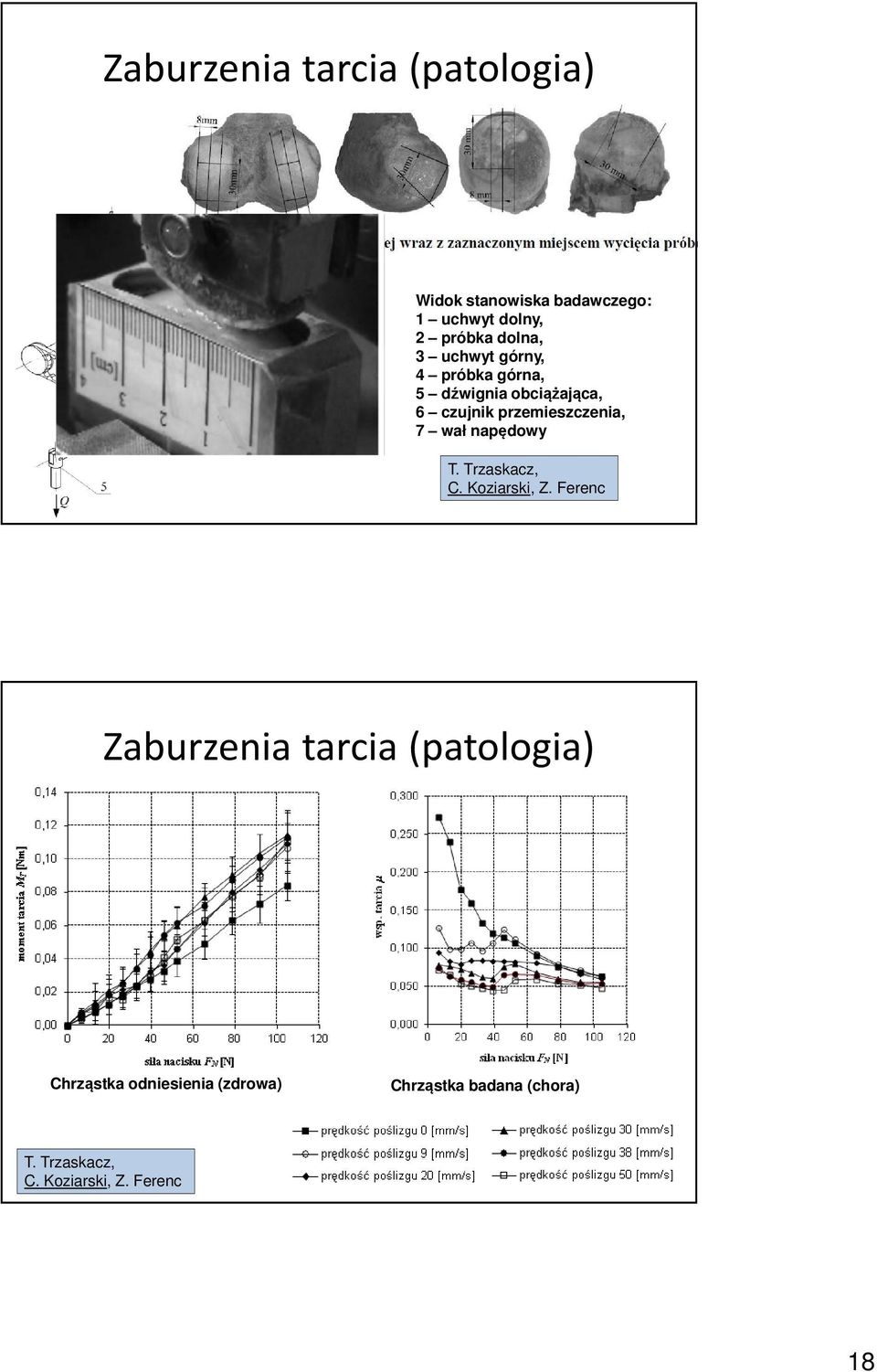 przemieszczenia, 7 wał napędowy T. Trzaskacz, C. Koziarski, Z.