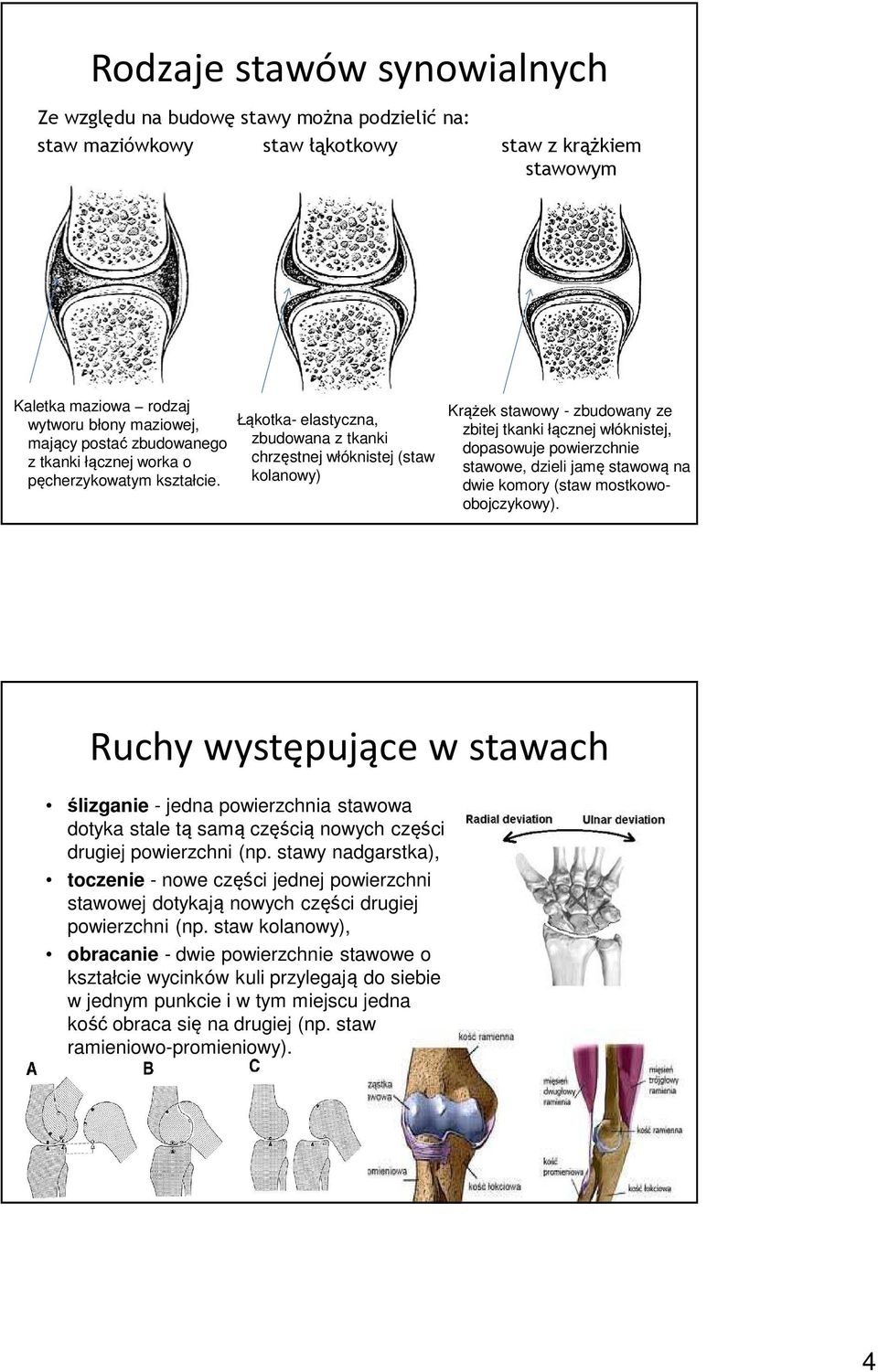 Łąkotka- elastyczna, zbudowana z tkanki chrzęstnej włóknistej (staw kolanowy) Krążek stawowy - zbudowany ze zbitej tkanki łącznej włóknistej, dopasowuje powierzchnie stawowe, dzieli jamę stawową na