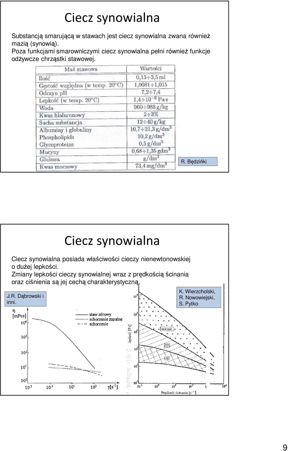 Będzińki Ciecz synowialna Ciecz synowialna posiada właściwości cieczy nienewtonowskiej o dużej lepkości.