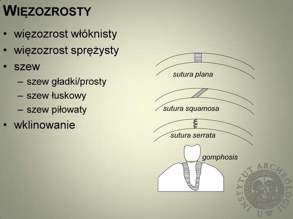 gładki/prosty szew łuskowy szew piłowaty