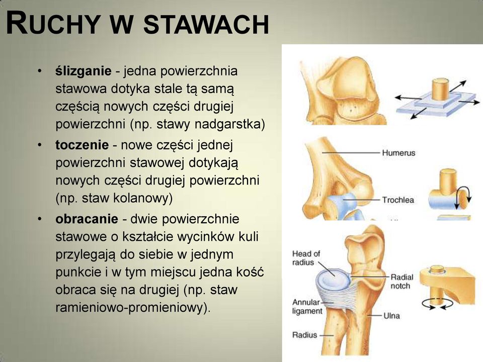 stawy nadgarstka) toczenie - nowe części jednej powierzchni stawowej dotykają nowych części drugiej  staw