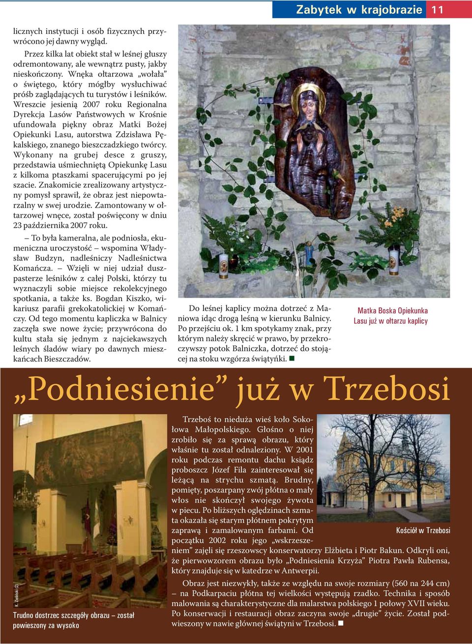 Wreszcie jesienią 2007 roku Regionalna Dyrekcja Lasów Państwowych w Krośnie ufundowała piękny obraz Matki Bożej Opiekunki Lasu, autorstwa Zdzisława Pękalskiego, znanego bieszczadzkiego twórcy.