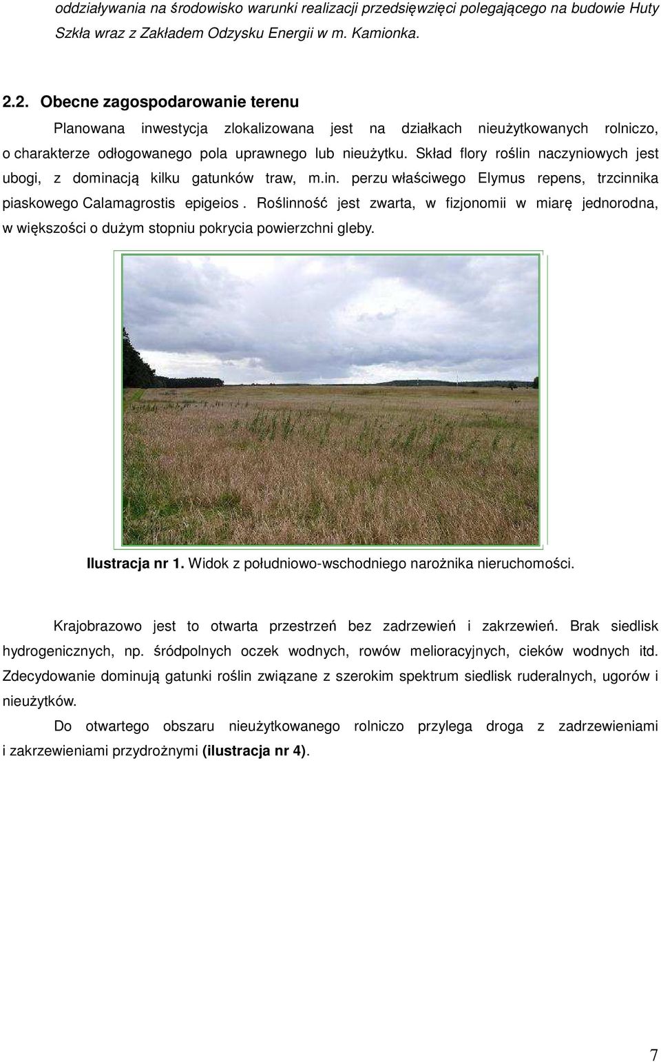 Skład flory roślin naczyniowych jest ubogi, z dominacją kilku gatunków traw, m.in. perzu właściwego Elymus repens, trzcinnika piaskowego Calamagrostis epigeios.