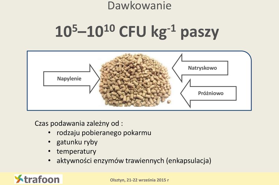 rodzaju pobieranego pokarmu gatunku ryby