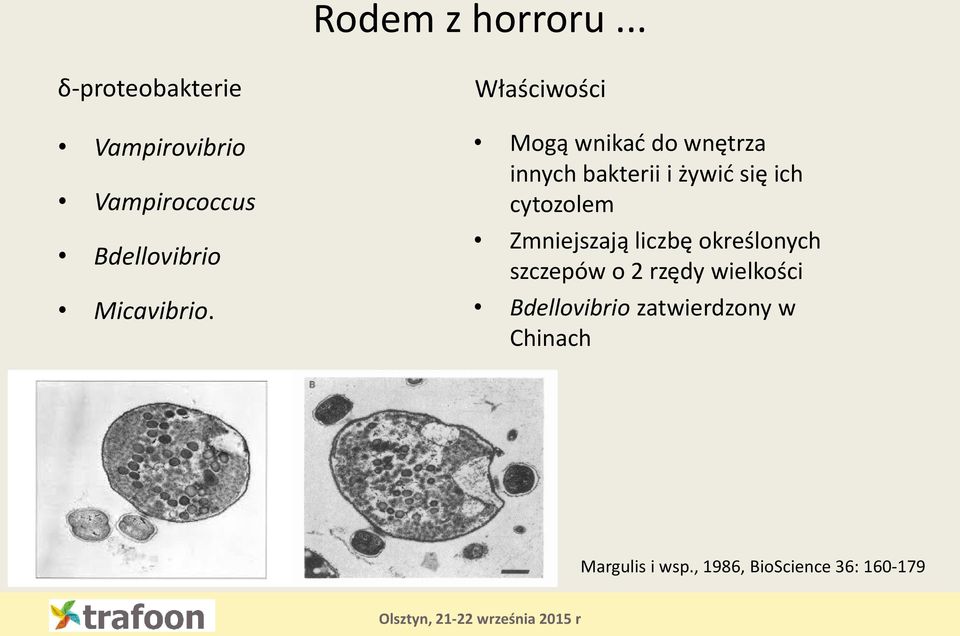 Właściwości Mogą wnikać do wnętrza innych bakterii i żywić się ich cytozolem