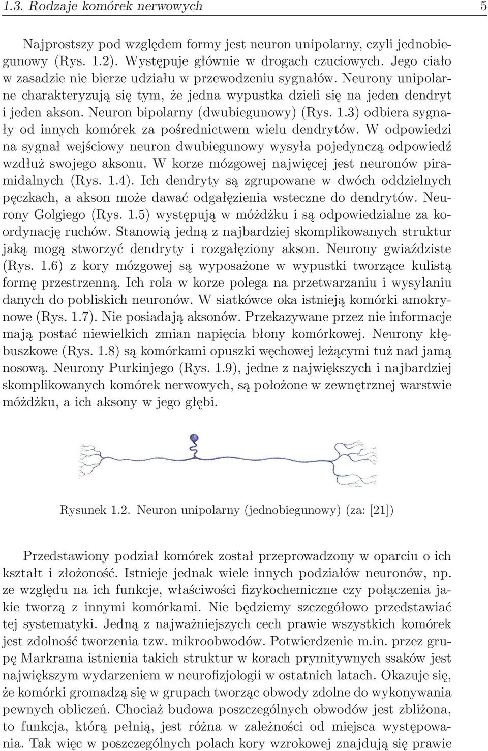 Neuron bipolarny(dwubiegunowy)(rys. 1.3) odbiera sygnały od innych komórek za pośrednictwem wielu dendrytów.