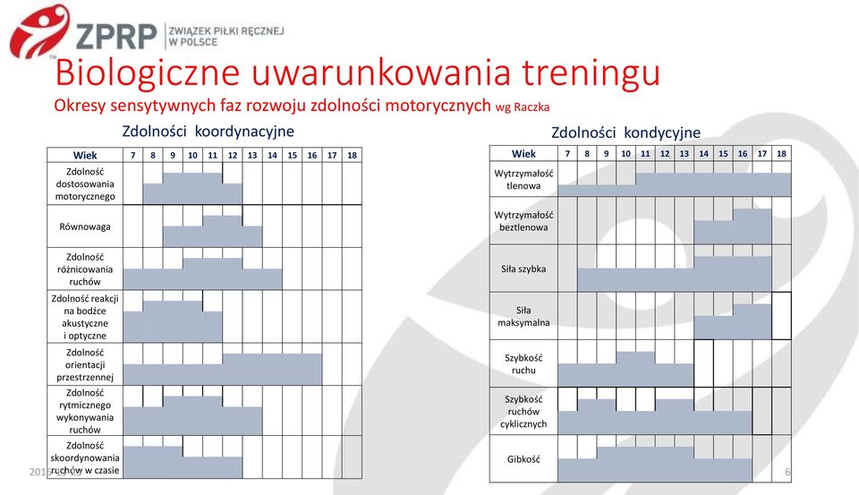 Zdolności kondycyjne Zdolność różnicowania ruchów Zdolność reakcji na bodźce akustyczne i optyczne Zdolność orientacji przestrzennej Zdolność