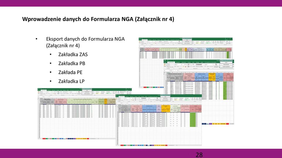 Formularza NGA (Załącznik nr 4)