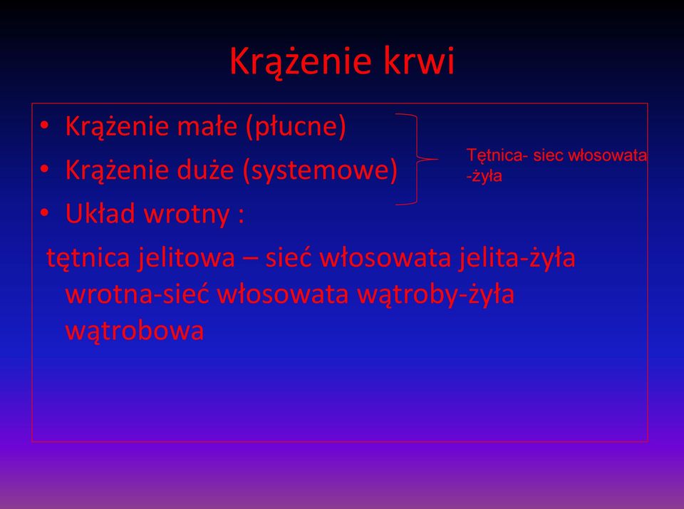 włosowata -żyła tętnica jelitowa sieć włosowata