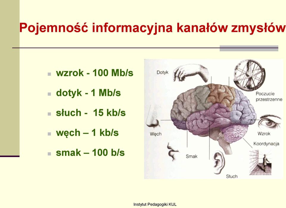 Mb/s dotyk - 1 Mb/s słuch -