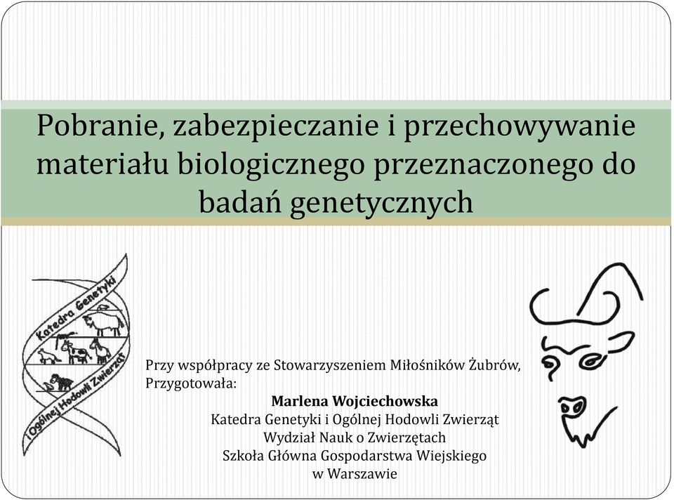 Miłośników Żubrów, Przygotowała: Marlena Wojciechowska Katedra Genetyki i
