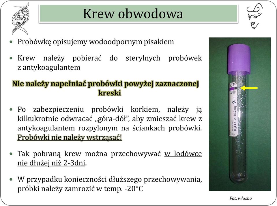 zmieszać krew z antykoagulantem rozpylonym na ściankach probówki. Probówki nie należy wstrząsać!