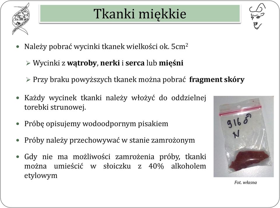 Każdy wycinek tkanki należy włożyć do oddzielnej torebki strunowej.