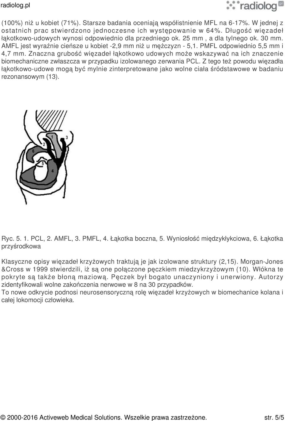 PMFL odpowiednio 5,5 mm i 4,7 mm. Znaczna grubość więzadeł łąkotkowo udowych może wskazywać na ich znaczenie biomechaniczne zwłaszcza w przypadku izolowanego zerwania PCL.