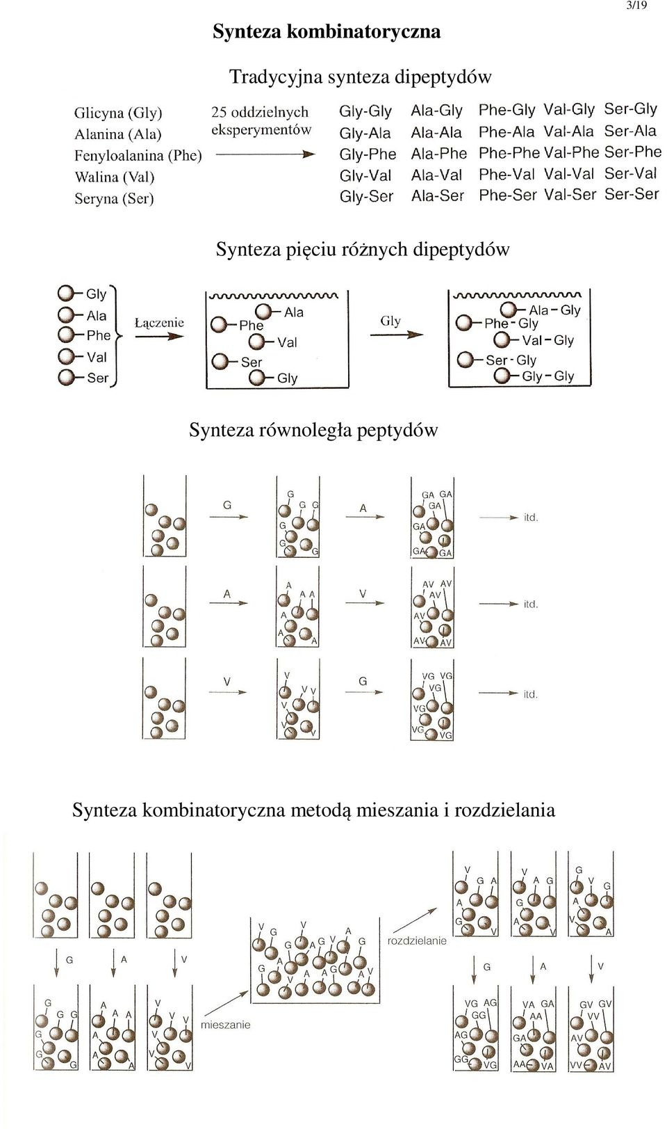 dipeptydów Synteza równoległa peptydów