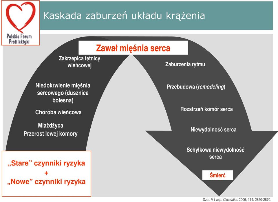 Dyslipidemia Nadciśnienie Cukrzyca Palenie papierosów Otyłość + Stare czynniki ryzyka Nowe czynniki ryzyka Przebudowa (remodeling) Rozstrzeń komór