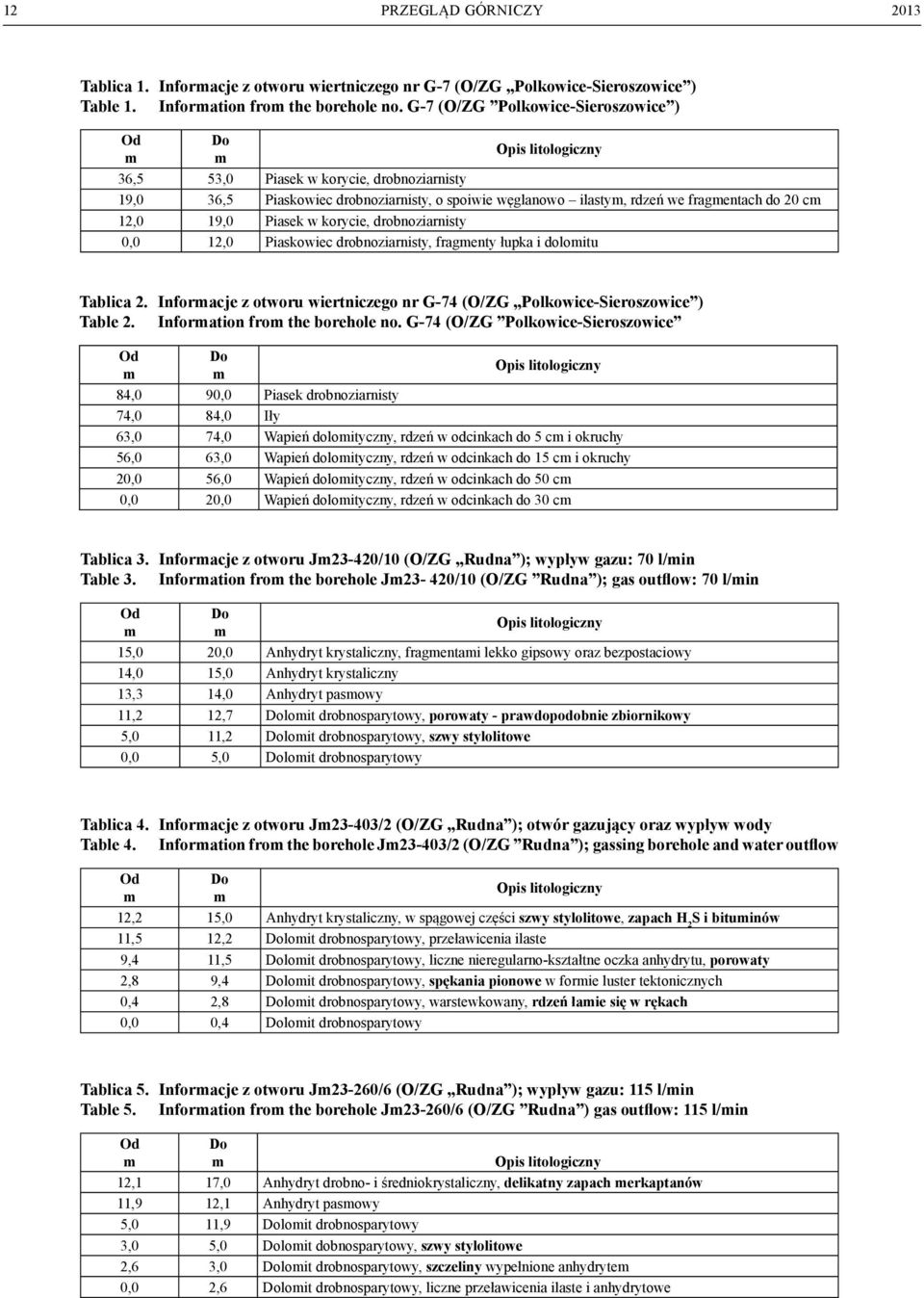 20 cm 12,0 19,0 Piasek w korycie, drobnoziarnisty 0,0 12,0 Piaskowiec drobnoziarnisty, fragmenty łupka i dolomitu Tablica 2.