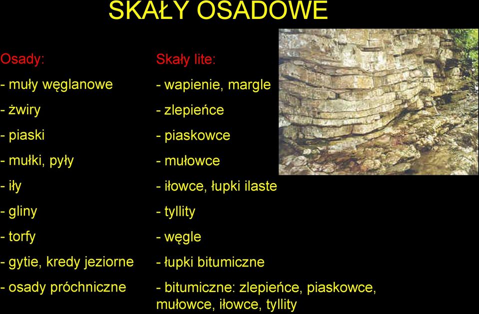 wapienie, margle - zlepieńce - piaskowce - mułowce - iłowce, łupki ilaste -