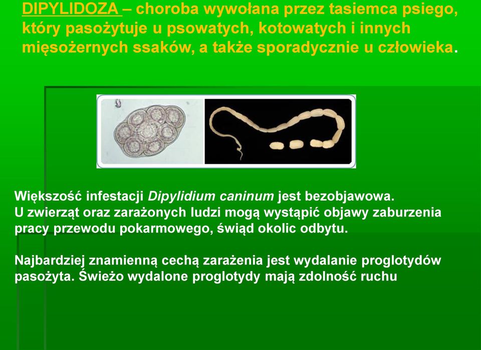 U zwierząt oraz zarażonych ludzi mogą wystąpić objawy zaburzenia pracy przewodu pokarmowego, świąd okolic odbytu.