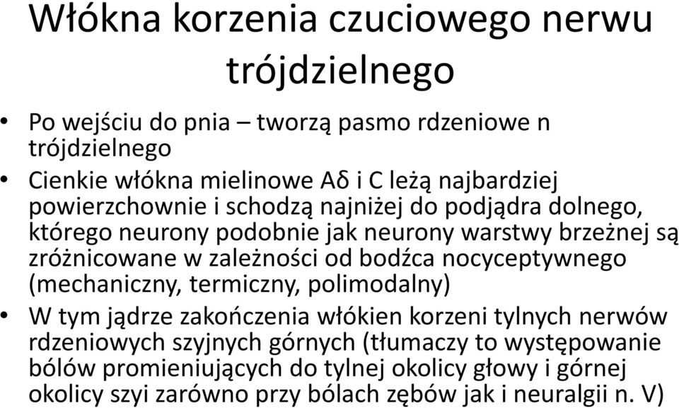 zależności od bodźca nocyceptywnego (mechaniczny, termiczny, polimodalny) W tym jądrze zakończenia włókien korzeni tylnych nerwów rdzeniowych