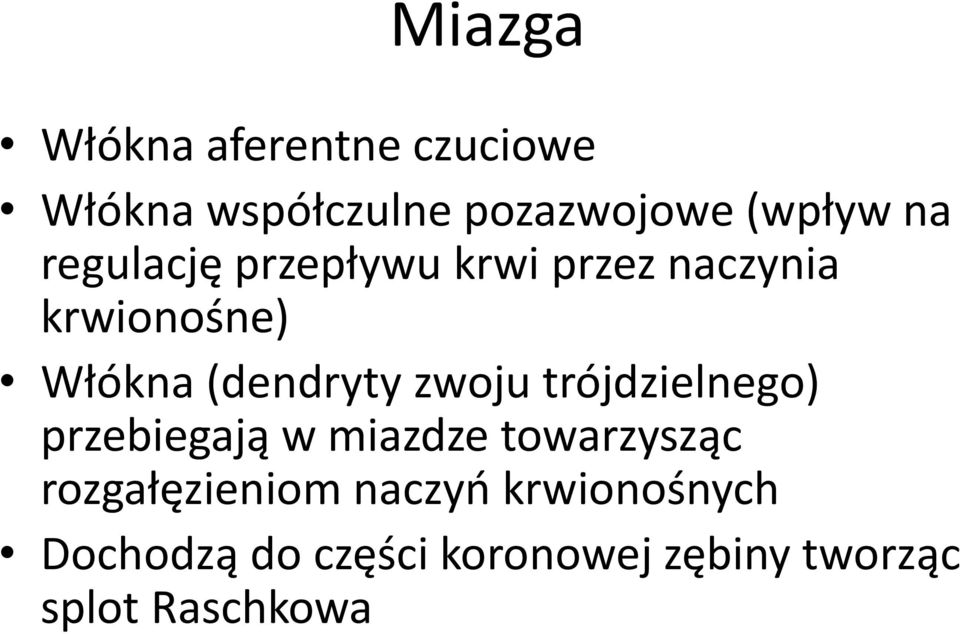 zwoju trójdzielnego) przebiegają w miazdze towarzysząc rozgałęzieniom