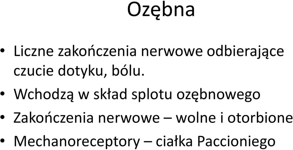 Wchodzą w skład splotu ozębnowego