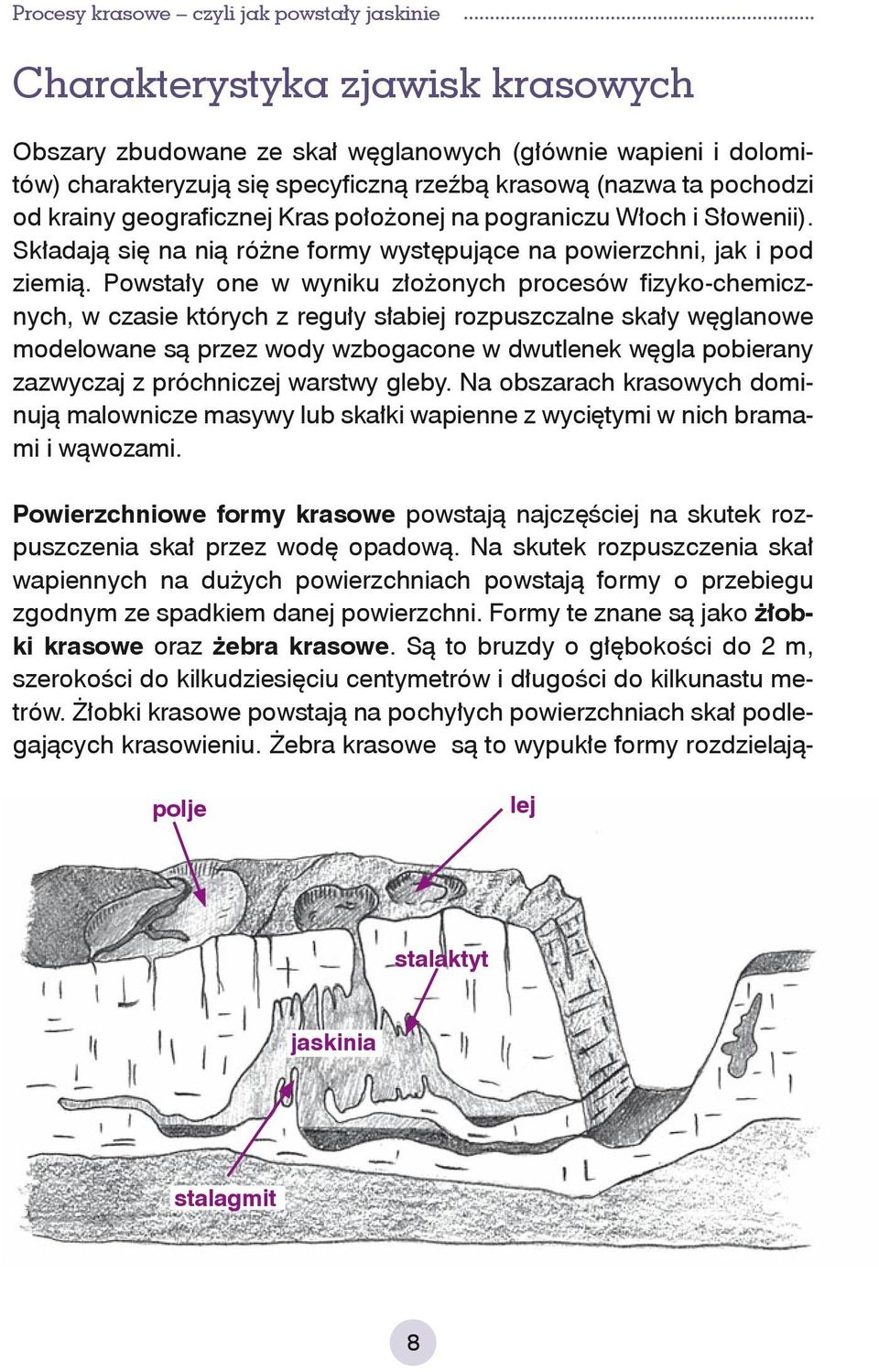 Powstały one w wyniku złożonych procesów fizyko-chemicznych, w czasie których z reguły słabiej rozpuszczalne skały węglanowe modelowane są przez wody wzbogacone w dwutlenek węgla pobierany zazwyczaj