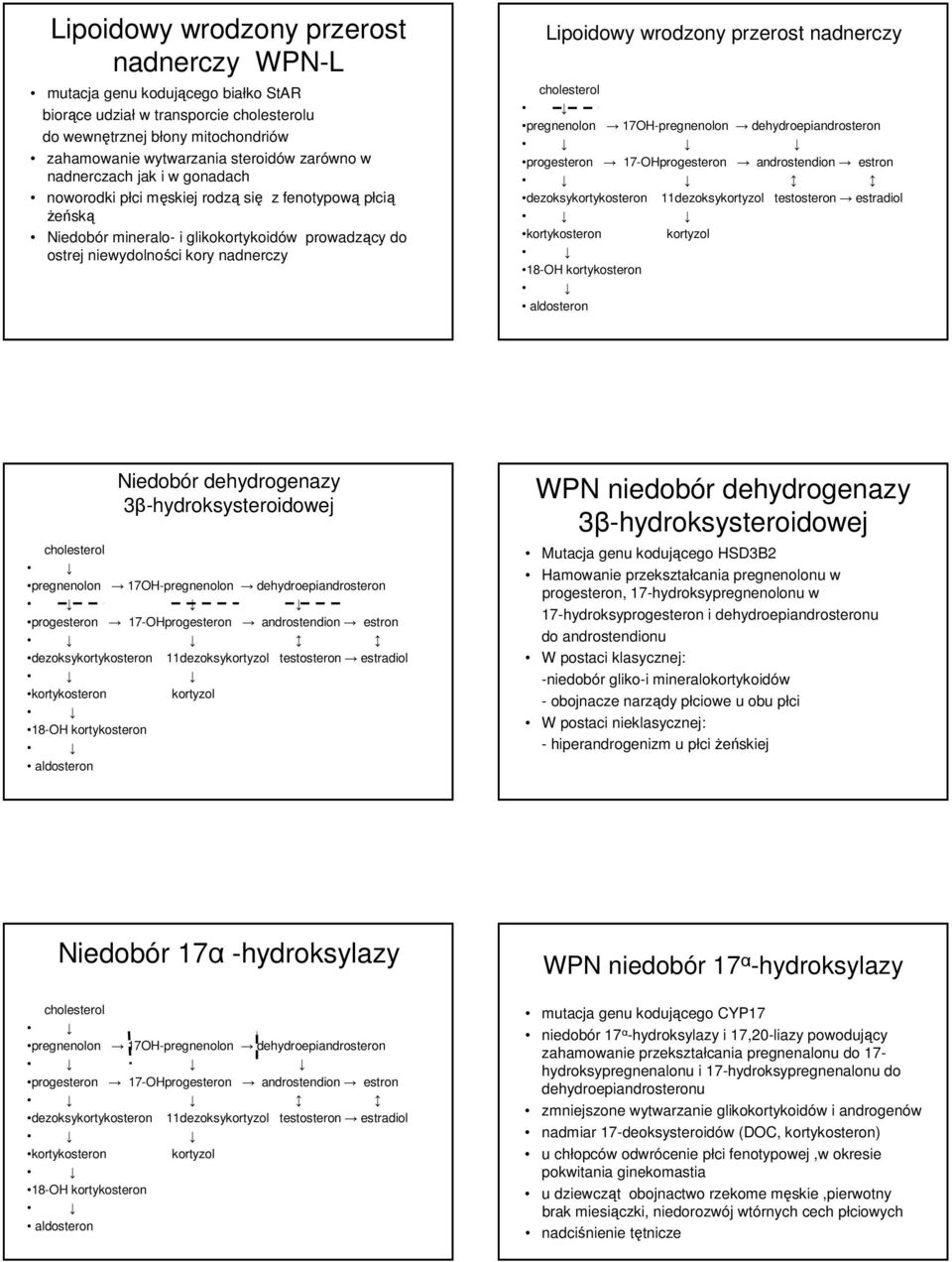 przerost nadnerczy pregnenolon 17OH-pregnenolon dehydroepiandrosteron progesteron 17-OHprogesteron androstendion estron dezoksykortykosteron 11dezoksy testosteron estradiol kortykosteron 18-OH