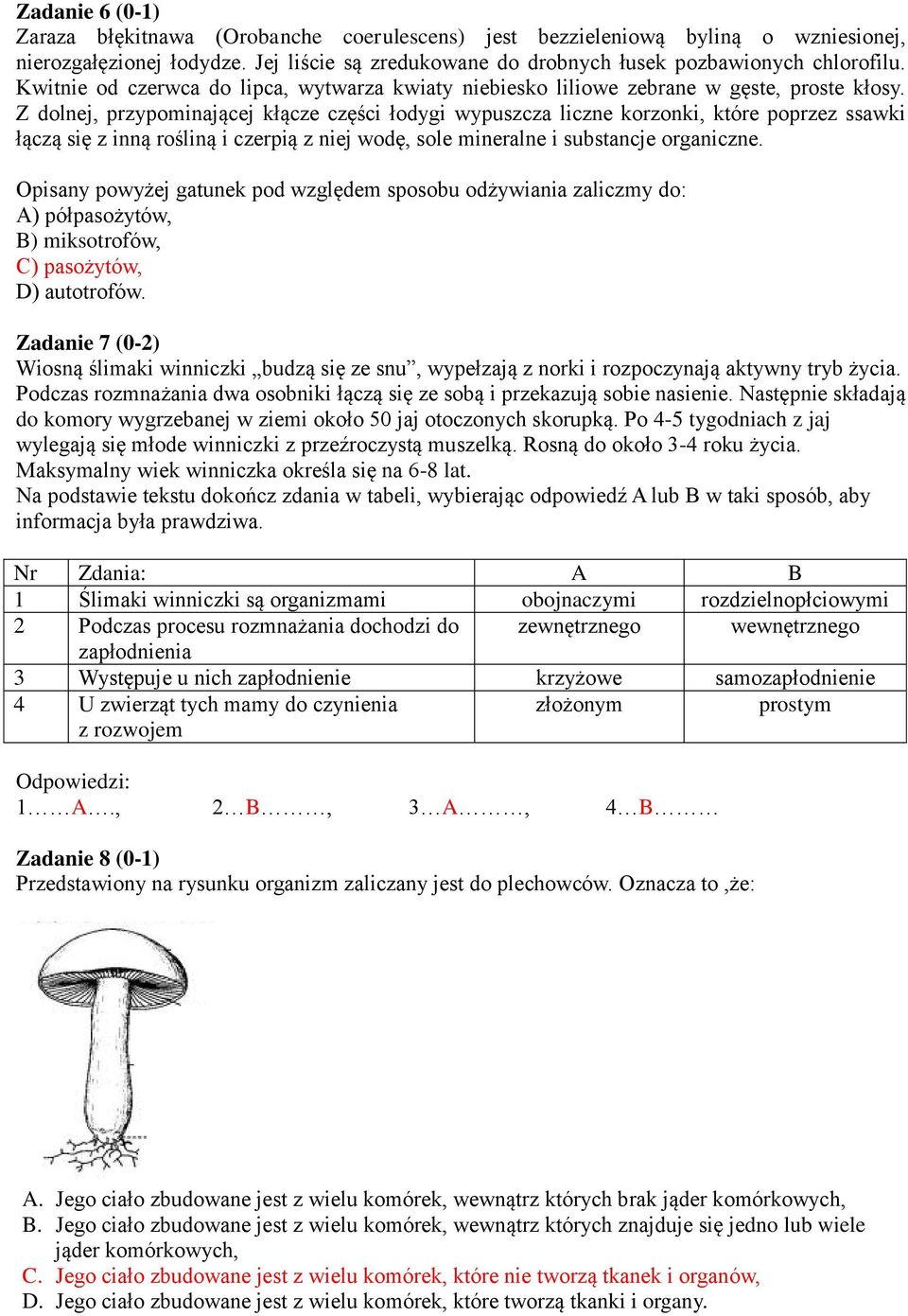 Z dolnej, przypominającej kłącze części łodygi wypuszcza liczne korzonki, które poprzez ssawki łączą się z inną rośliną i czerpią z niej wodę, sole mineralne i substancje organiczne.