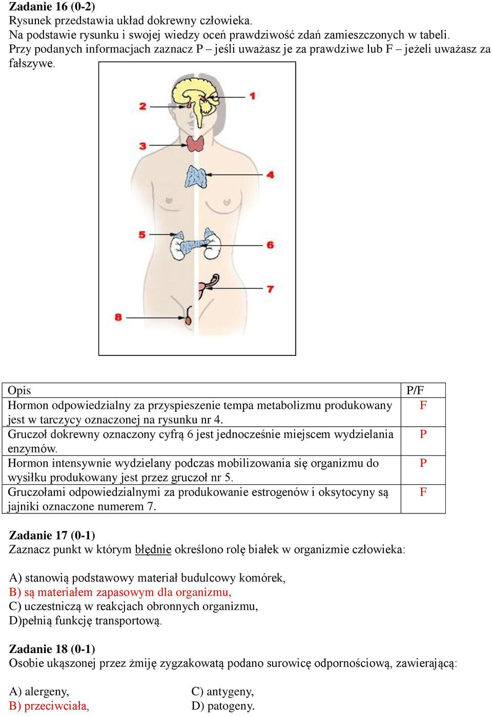 Opis Hormon odpowiedzialny za przyspieszenie tempa metabolizmu produkowany jest w tarczycy oznaczonej na rysunku nr 4.