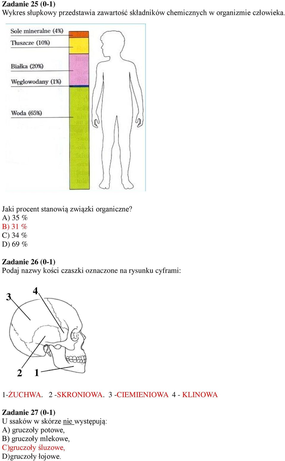 A) 35 % B) 31 % C) 34 % D) 69 % Zadanie 26 (0-1) Podaj nazwy kości czaszki oznaczone na rysunku cyframi: 3 4