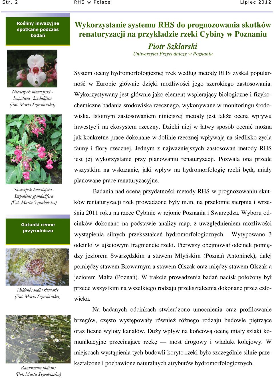 Szklarski Uniwersytet Przyrodniczy w Poznaniu Niecierpek himalajski - Impatiens glandulifera Niecierpek himalajski - Impatiens glandulifera Gatunki cenne przyrodniczo Hildenbrandia rivularis